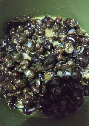 Foto resep Tumis tutut