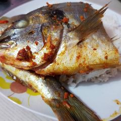 A picture of Ginger Turmeric Baked Fish.