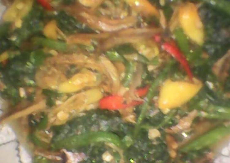 Resep Cah pucuk labu ma teri Anti Gagal