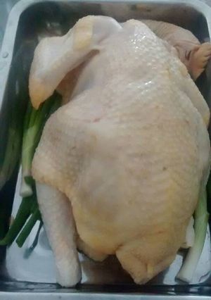A picture of Steamed Chicken Chinese Style.
