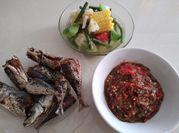 Gambar ikan dencis