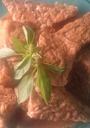 Foto resep Tahu Tempe Bacem (Nyemek)