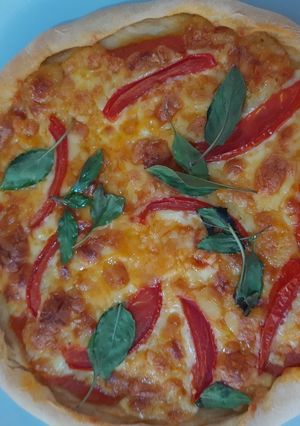 Una foto de Pizza margarita