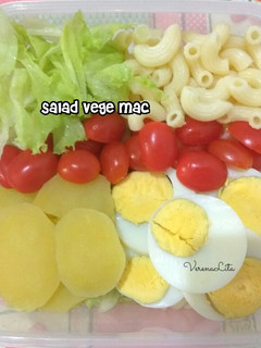 Foto resep Salad Vege Mac