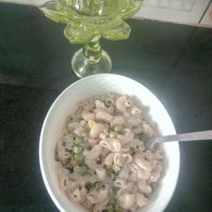 A picture of White sauce pasta.