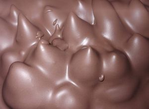 Una foto de Tartin de picos de chocolate!!