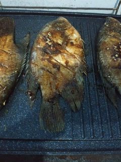 Foto resep Gurami bakar madu gurih