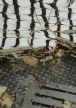 صورة لوصفة جاتوه ابيض اسود البارد