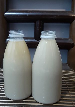 Foto resep Jamu Beras Kencur Minuman Sehat