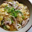 ‘Oyako’ Udon