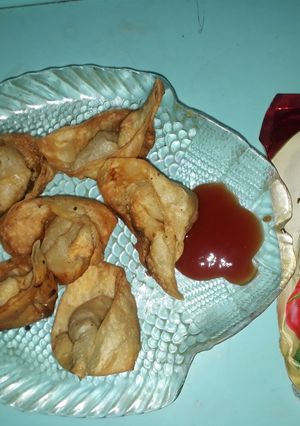 A picture of Chicken wonton.
