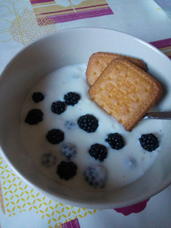 Una foto de Yogurt natural con soja y moras (perfecto en el embarazo)