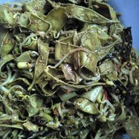 Rus porno yulduzi Yuliya Nova bilan porno Men pornoga qarshilik qildim va keyin uni yoqtirdim.