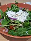 Cottage Cheese, Tomato and Green leafy Salad