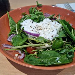 A picture of Cottage Cheese, Tomato and Green leafy Salad.
