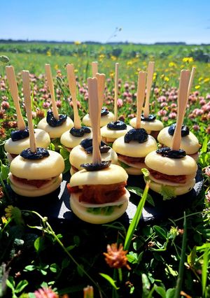 Une photo de Burgers de babybel