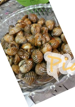 Foto resep Kerang Dara Saus Padang