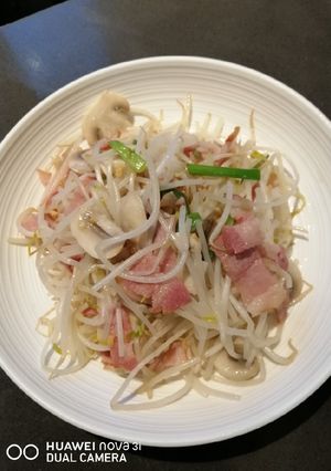 A picture of Beansprout.