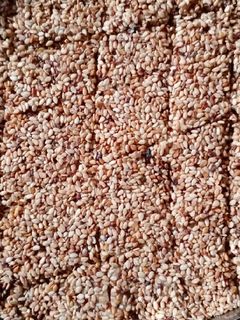 તલ ની ચીકી (Tal Chikki Recipe in Gujarati) રેસીપી મુખ્ય ફોટો