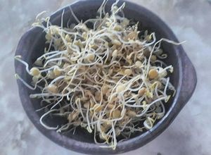 Una foto de Brotes de lenteja