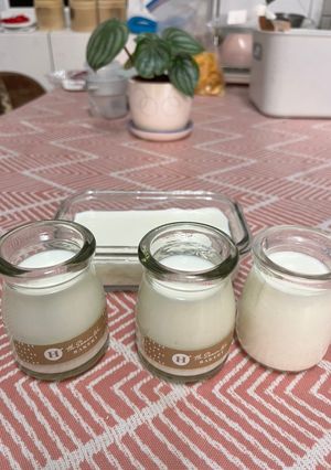 桂蜜優格 的食譜成品照片