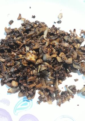 A picture of Duxelles.