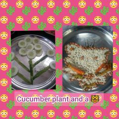 A picture of Cucumber plant and Puffed rice and peanut 🐯.
