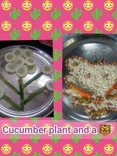 A picture of Cucumber plant and Puffed rice and peanut 🐯.