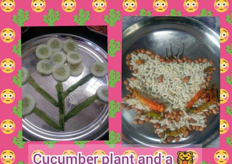 Cucumber plant and Puffed rice and peanut 🐯