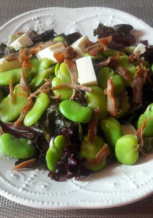Una foto de Ensalada de charqui con habas