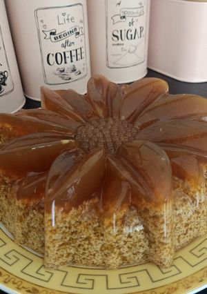 Foto resep Puding Lumut Gula Aren