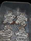 Galletas de momia halloween 