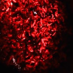 A picture of Beetroot Rice.