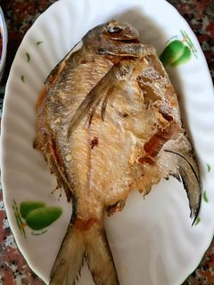 脆皮乾煎白鯧魚 的食譜成品照片