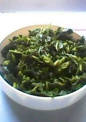 A picture of Spinach Vegetable Snack 1🌿🌿🌿🥬🥬🥬aka Green.