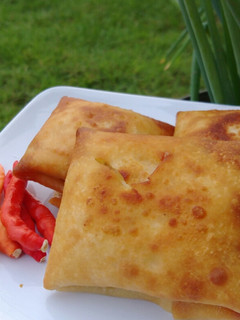 Foto resep Martabak Tahu Telur
