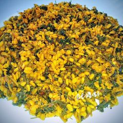 A picture of Moong Methi.