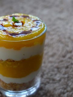 मँगो मूस केक (mango mousse cake recipe in marathi) रेसिपी चे मुख्य फोटो 