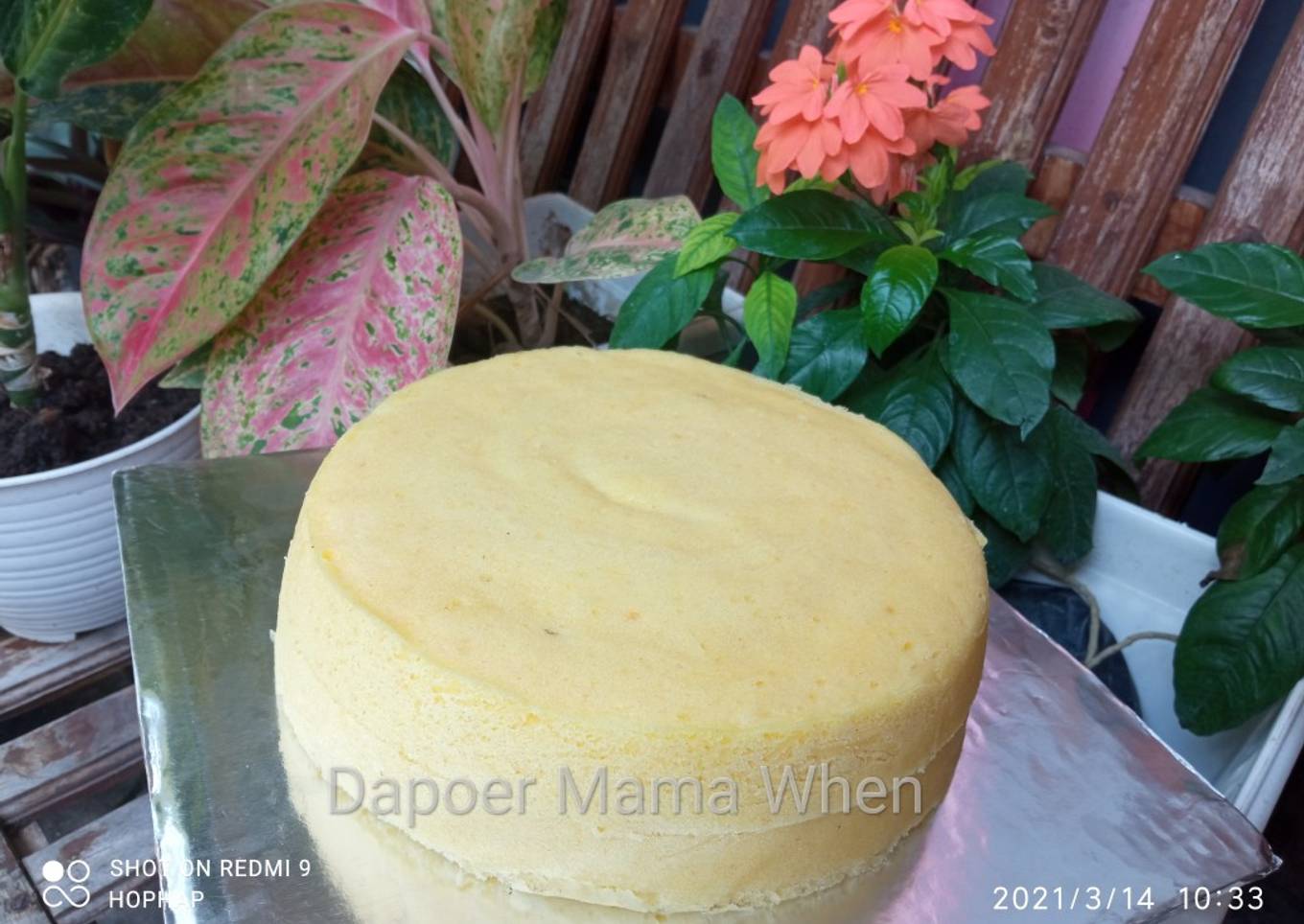 Bolu Kukus Keju (Basic Cake)