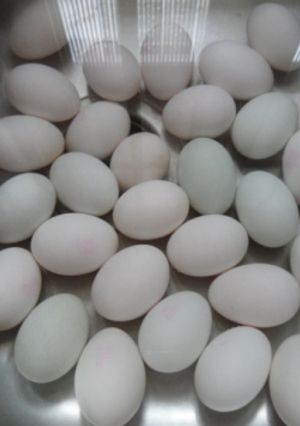 Hình của món Muối trứng vịt.