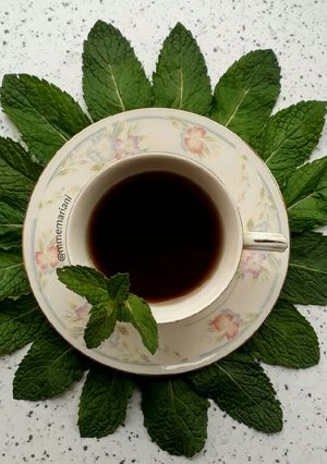 عکسی از دستور دمنوش نعنا