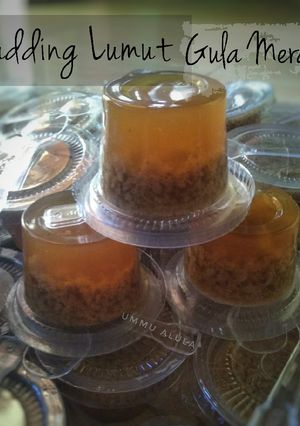 Foto resep Pudding Lumut Gula Merah Antigagal