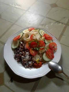 A picture of Rice nd beans with simple salad.