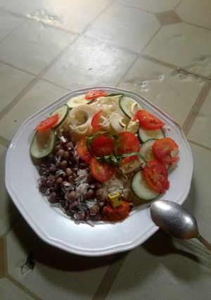 A picture of Rice nd beans with simple salad.