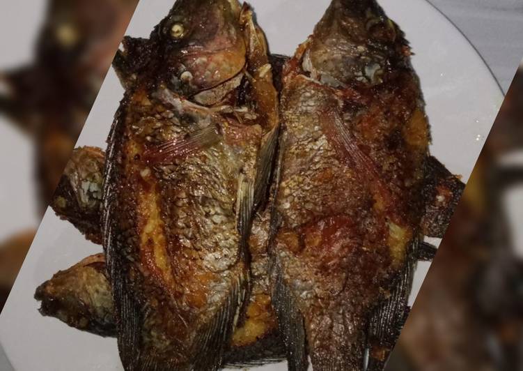 Terkuak Ikan Mujaer Goreng Renyah Praktis Resep Masakanku