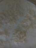 Doodh pheni
