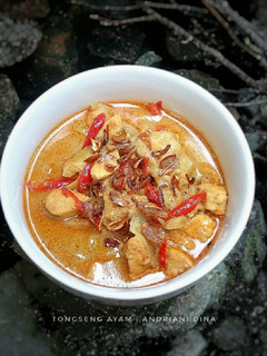 Foto resep Tongseng Ayam Santan