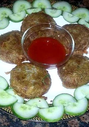 A picture of Beef shami kabab.