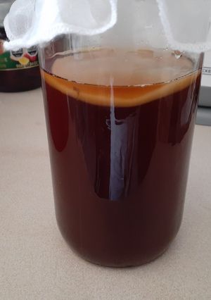 Una foto de Kombucha (Primera Fermentación)