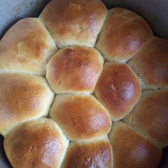 A picture of Easy dinner rolls.